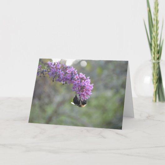 Bumble Bee Kaart (Voorkant)