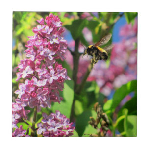 Bumble Bee Landng op Lilacs Tegeltje