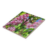 Bumble Bee Landng op Lilacs Tegeltje (Zijkant)