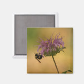 Bumble Bee Magneet (Voorkant / Achterkant)