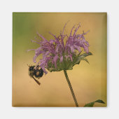 Bumble Bee Magneet (Voorkant)