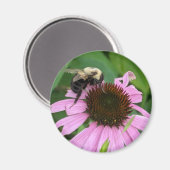 Bumble Bee Magneet (Voorkant / Achterkant)