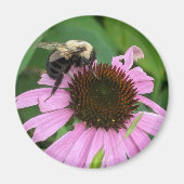 Bumble Bee Magneet (Voorkant)