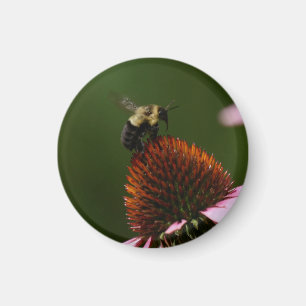 Bumble Bee Magneet