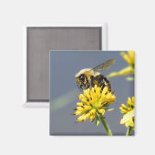 Bumble Bee Magnet (Voorkant / Achterkant)