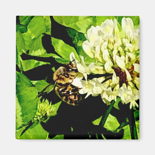 Bumble Bee Magnet (Voorkant)