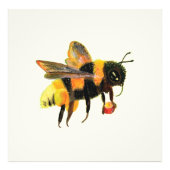 Bumble Bee met pollen Foto Afdruk (Voorkant)
