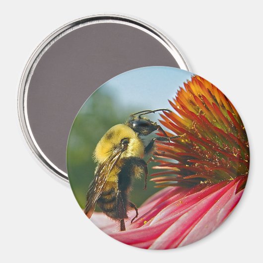 Bumble Bee met Sky Heart Magneet (Voorkant / Achterkant)