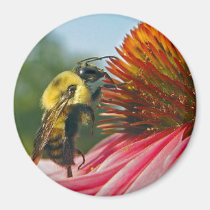 Bumble Bee met Sky Heart Magneet