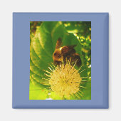 Bumble Bee Nectar Magneet (Voorkant)