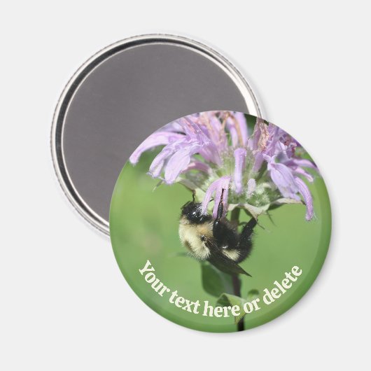 Bumble Bee On Bee Balm Flower Personalized Magneet (Voorkant / Achterkant)
