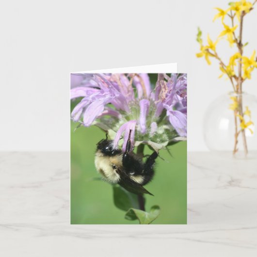 Bumble Bee On Bee Balm Flower Photography Note Kaart (Gele Bloem)