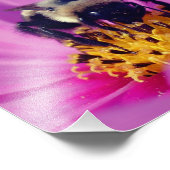 Bumble Bee On Cosmos Flower 8x8 Foto Afdruk (Hoek)