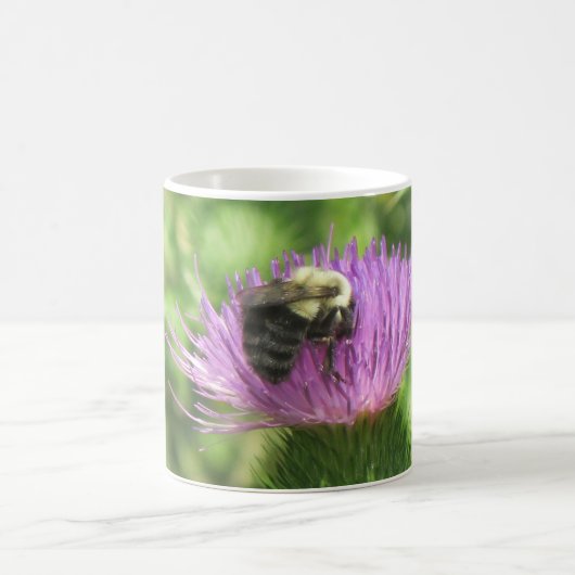 Bumble bee on Thistle Mok (Center)