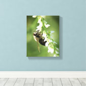 Bumble Bee on white flower Canvas Afdruk (Insitu (Houten vloer))
