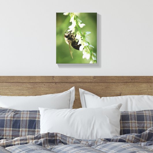 Bumble Bee on white flower Canvas Afdruk (Insitu (Slaapkamer))