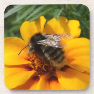 Bumble Bee Onderzetters