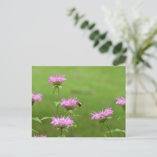 Bumble bee op bijenbalm Briefkaart (Staand voorkant)