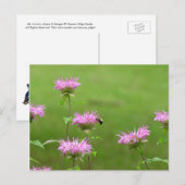 Bumble bee op bijenbalm Briefkaart (Voorkant / Achterkant)