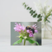 Bumble bee op bijenbalm Briefkaart 2 (Staand voorkant)