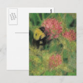 Bumble Bee op Clover Briefkaart (Voorkant / Achterkant)