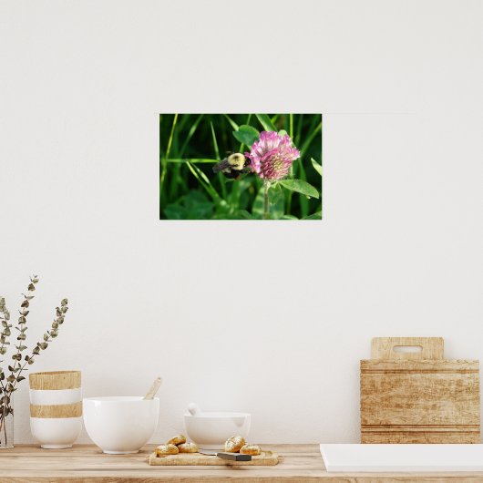 Bumble Bee op Clover Poster (Keuken)