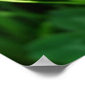 Bumble Bee op Clover Poster (Hoek)