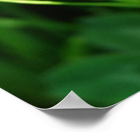 Bumble Bee op Clover Poster (Hoek)