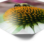 Bumble Bee op Coneflower Square Print Foto Afdruk (Hoek)
