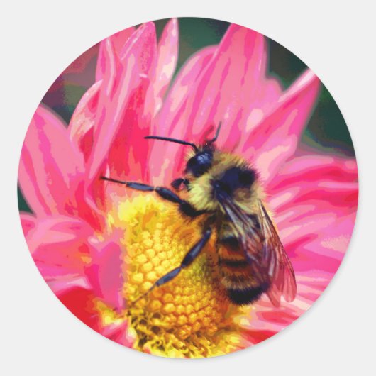 Bumble bee op Daisy Flower Art Ronde Sticker (Voorkant)