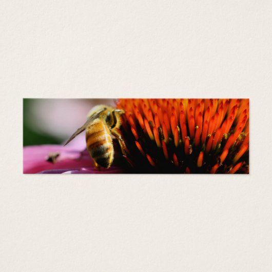 Bumble Bee op Echinacea Flower mini Bladwijzer Mini Visitekaartjes (Voorkant)