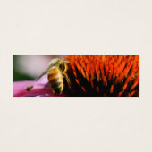 Bumble Bee op Echinacea Flower mini Bladwijzer Visitekaartjes (Voorkant)