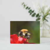 Bumble bee op een Dahlia Briefkaart (Staand voorkant)