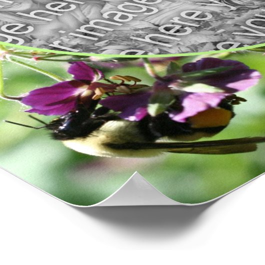 Bumble Bee op Flower Lijst Creëer Uw eigen foto Poster (Hoek)