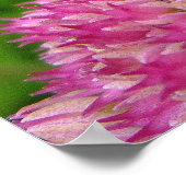 Bumble Bee op het sedum Poster (Hoek)