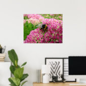 Bumble Bee op het sedum Poster (Thuiskantoor)