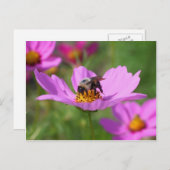 Bumble bee op kosmos briefkaart (Voorkant / Achterkant)