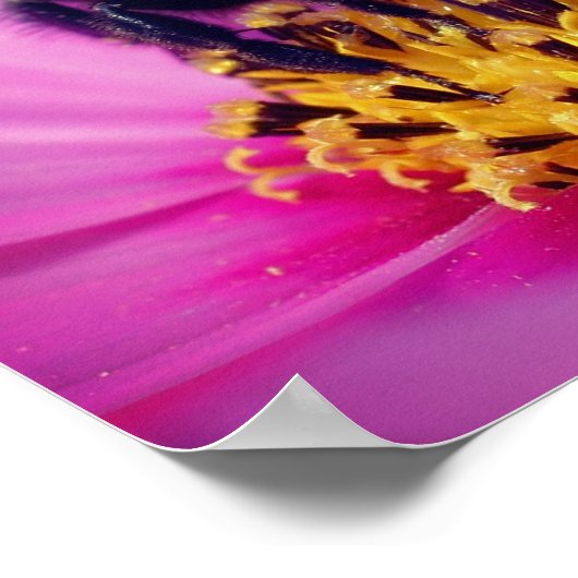 Bumble bee op kosmos poster (Hoek)