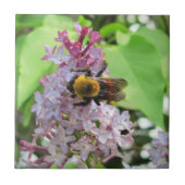 Bumble Bee op Lila Tegeltje (Voorkant)