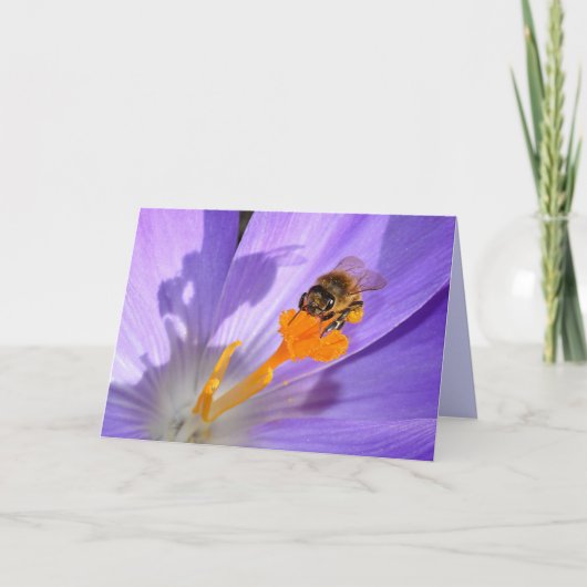 Bumble Bee op Paarse Bloem Blank Fotokaart Kaart (Voorkant)