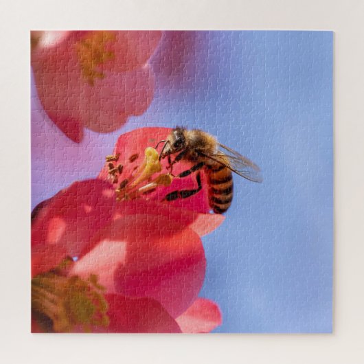 Bumble Bee op Quince Legpuzzel (Verticaal)