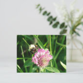 Bumble Bee op Red Clover Briefkaart (Staand voorkant)