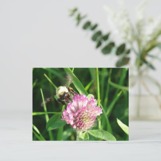 Bumble Bee op Red Clover Briefkaart (Staand voorkant)