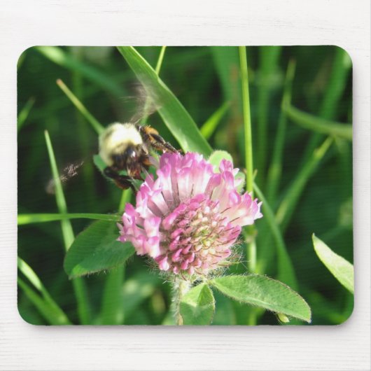 Bumble Bee op Red Clover Muismat (Voorkant)