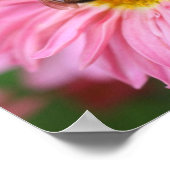 Bumble Bee op Roze Daisy Flower Mirror Abstract Poster (Hoek)