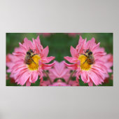 Bumble Bee op Roze Daisy Flower Mirror Abstract Poster (Voorkant)