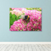 Bumble Bee op Sedum "Autumn Joy" Canvas Afdruk (Insitu (Houten vloer))