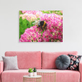Bumble Bee op Sedum "Autumn Joy" Canvas Afdruk (Insitu (Woonkamer))
