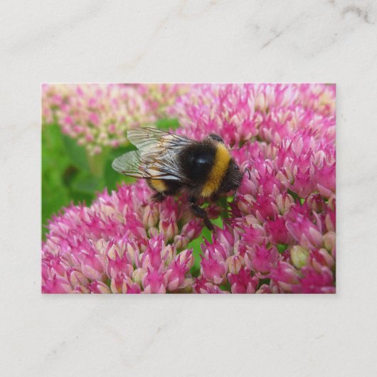 Bumble Bee op sedum Visitekaartje (Voorkant)