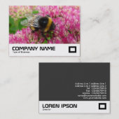 Bumble Bee op sedum Visitekaartje (Voorkant / Achterkant)